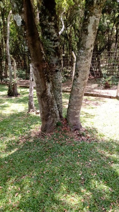 Residenciais Encantos Da Natureza Canela Buitenkant foto